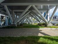 green grass with a brick path underneath an elevated structure with multiple long metal pillars and columns