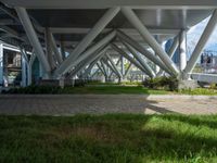 green grass with a brick path underneath an elevated structure with multiple long metal pillars and columns