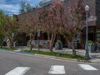 street corner with tree on the corner of the corner and a building behind it that is surrounded by multiple windows and a perforated brown lattice