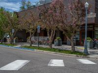 street corner with tree on the corner of the corner and a building behind it that is surrounded by multiple windows and a perforated brown lattice