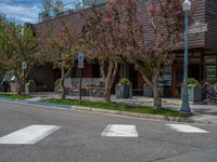 street corner with tree on the corner of the corner and a building behind it that is surrounded by multiple windows and a perforated brown lattice