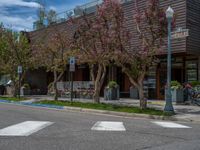 street corner with tree on the corner of the corner and a building behind it that is surrounded by multiple windows and a perforated brown lattice