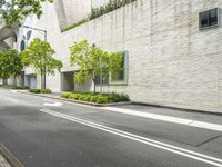 a person riding on the side of a city street near a building with two trees