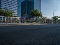 an empty street in front of a building and trees on the other side of the road