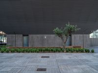 a bench on the concrete with an area in front of it near a tree,