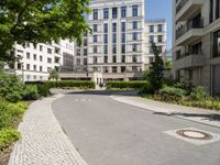 an empty paved paved space between two buildings and a path that is made from concrete and features large trees in between it