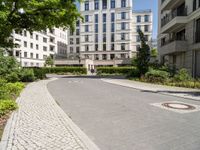 an empty paved paved space between two buildings and a path that is made from concrete and features large trees in between it