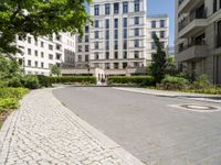 an empty paved paved space between two buildings and a path that is made from concrete and features large trees in between it