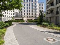 an empty paved paved space between two buildings and a path that is made from concrete and features large trees in between it