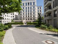 an empty paved paved space between two buildings and a path that is made from concrete and features large trees in between it