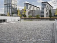 an empty paved walkway between two tall buildings in an urban area with trees in front