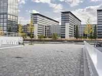 an empty paved walkway between two tall buildings in an urban area with trees in front