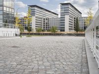 an empty paved walkway between two tall buildings in an urban area with trees in front