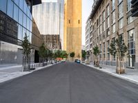 Urban Design in Berlin: A City with Tree-lined Streets