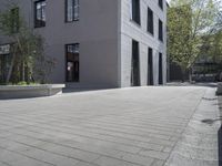 a paved area between a large building and a small tree with a few plants on the top and bottom part