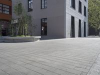 a paved area between a large building and a small tree with a few plants on the top and bottom part