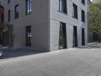 a paved area between a large building and a small tree with a few plants on the top and bottom part