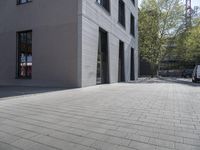 a paved area between a large building and a small tree with a few plants on the top and bottom part