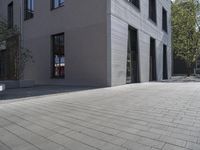 a paved area between a large building and a small tree with a few plants on the top and bottom part