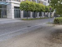 Urban Design in Berlin: Cobblestone Thoroughfare 001