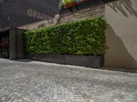 a green shrub near a gray building and a brick walkway with a bicycle rack in it