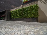 a green shrub near a gray building and a brick walkway with a bicycle rack in it