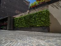 a green shrub near a gray building and a brick walkway with a bicycle rack in it