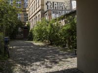 an empty alley with graffiti on it in front of buildings and a bicycle leaning against the building