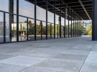 this is an image of a walkway outside a building with large glass panels on both sides