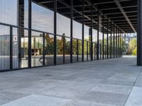 this is an image of a walkway outside a building with large glass panels on both sides