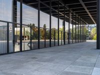 this is an image of a walkway outside a building with large glass panels on both sides