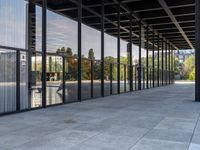 this is an image of a walkway outside a building with large glass panels on both sides