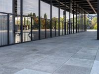 this is an image of a walkway outside a building with large glass panels on both sides