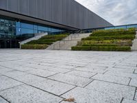 an area with steps and plants that are mostly covered in snow and has concrete blocks