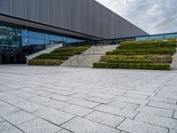 an area with steps and plants that are mostly covered in snow and has concrete blocks