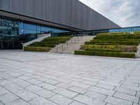 an area with steps and plants that are mostly covered in snow and has concrete blocks