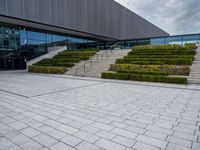 an area with steps and plants that are mostly covered in snow and has concrete blocks