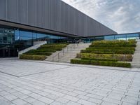 an area with steps and plants that are mostly covered in snow and has concrete blocks