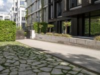 a walkway leading to some very large apartment buildings on the edge of a street with plants and trees in a courtyard