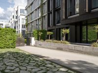 a walkway leading to some very large apartment buildings on the edge of a street with plants and trees in a courtyard