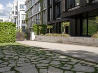 a walkway leading to some very large apartment buildings on the edge of a street with plants and trees in a courtyard