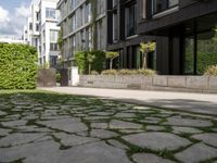 a walkway leading to some very large apartment buildings on the edge of a street with plants and trees in a courtyard