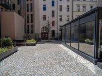 several plants sit in decorative concrete planters along the sidewalk of a building that is very modern