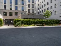 some plants and buildings on a street corner in london uk's west end near covent square