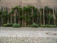 Urban Design in Berlin: The Hinterhof and Green Wall