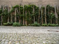 Urban Design in Berlin: The Hinterhof and Green Wall