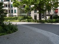 a parking space with a sign near a building in a park area that includes shrubs and trees and is a paved street