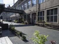 two rows of benches outside in front of building's windows, one with planters and the other with potted plants