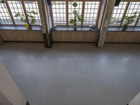 this picture depicts an empty school classroom with large windows and yellow plants in pots on the desk