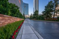 an empty sidewalk with trees and red flowers along it and buildings in the background with dark clouds